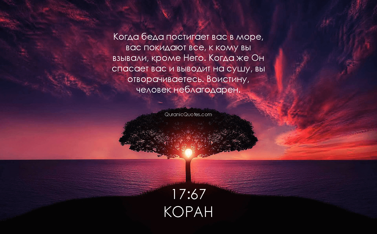 Quranic Quotes in Russian #22