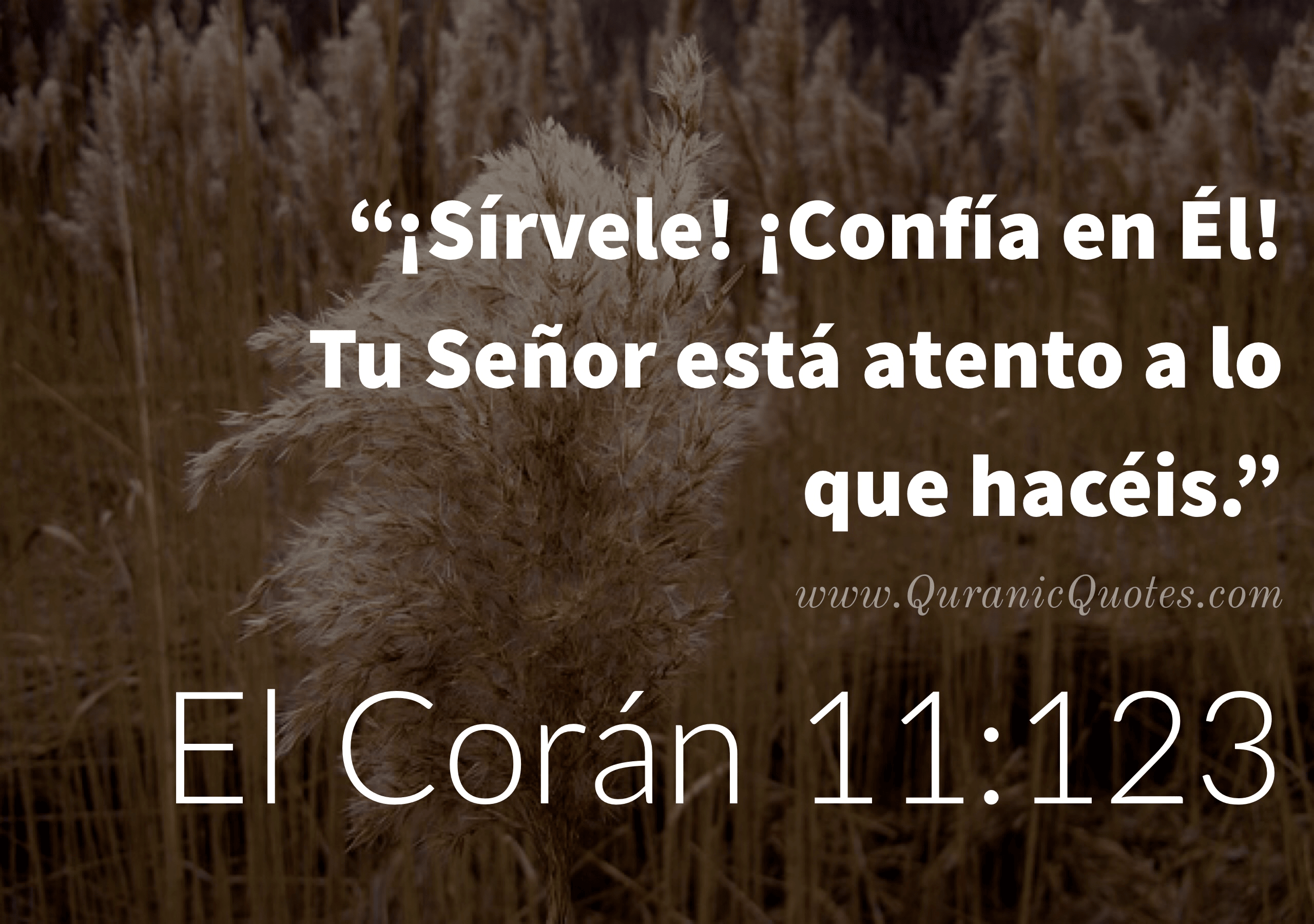 Quranic Quotes Español #166