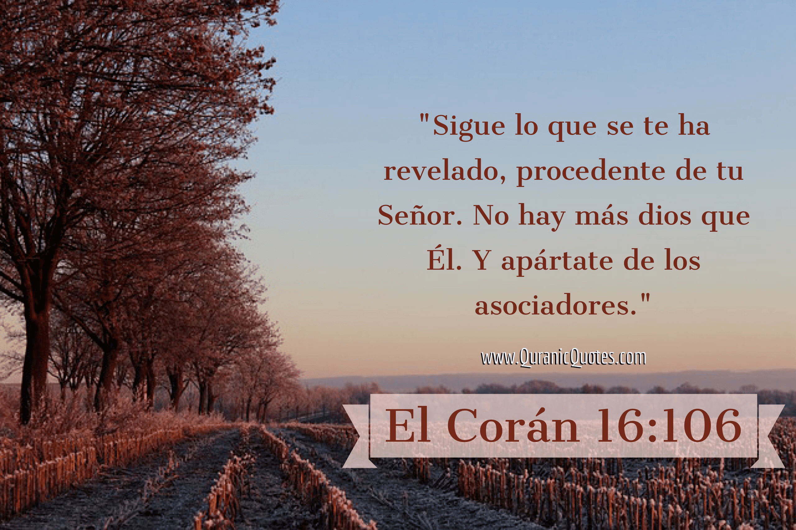 Quranic Quotes Español #161