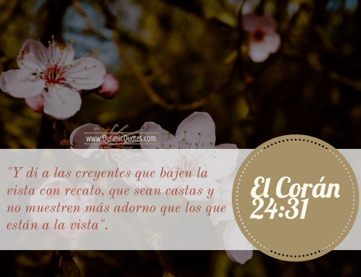 #142 El Corán 24:31 (Surah an-Nur)