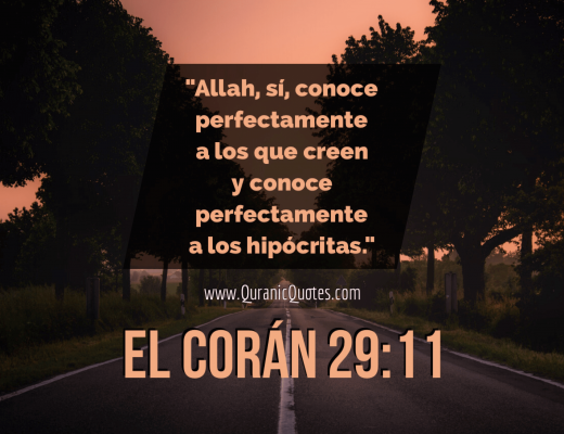 #134 El Corán 29:11 (Surah al-Ankabut)