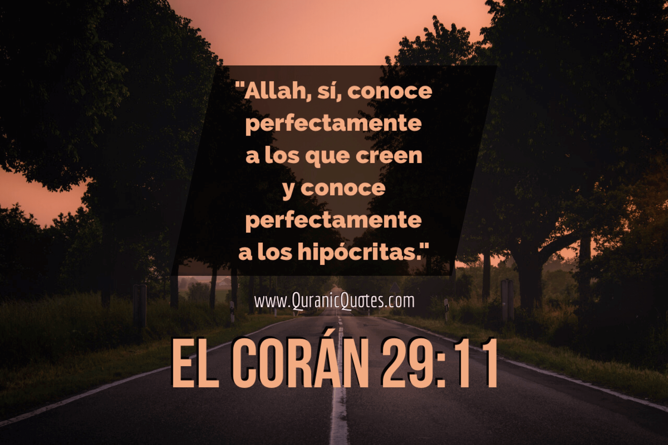 Quranic Quotes Español #134