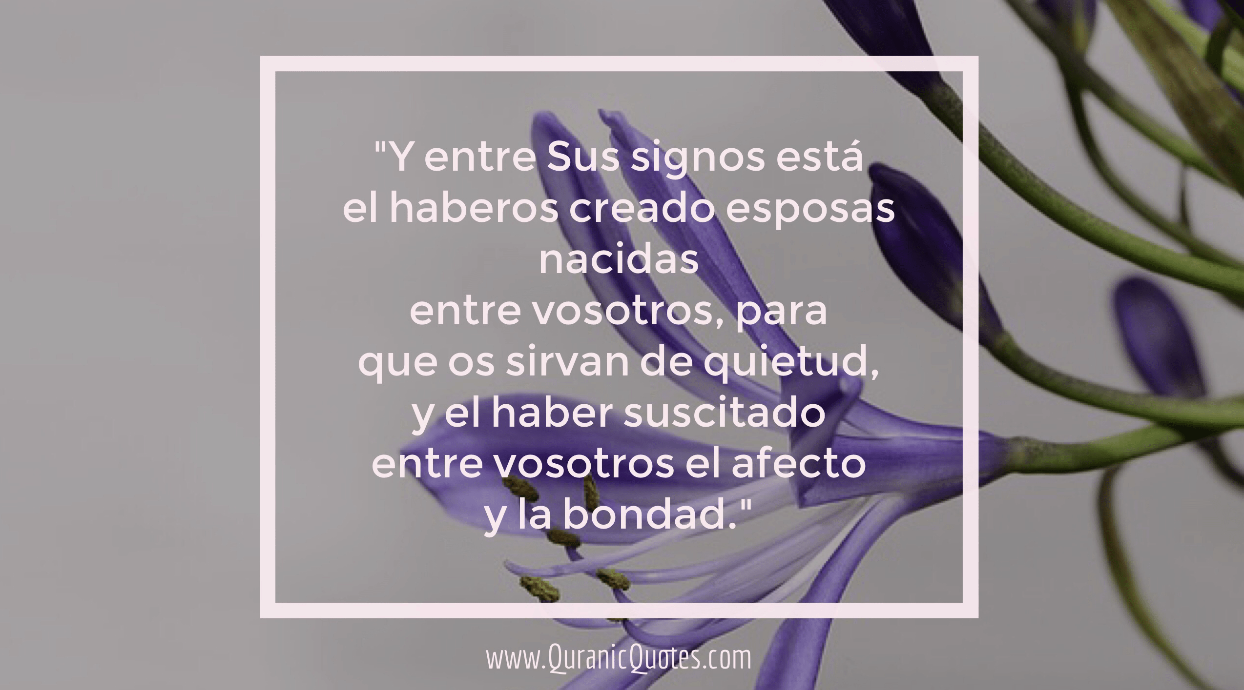 Quranic Quotes Español #167