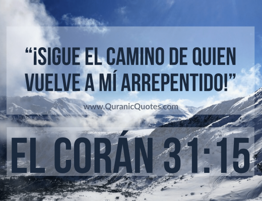 #180 El Corán 31:15 (Surah Luqman)