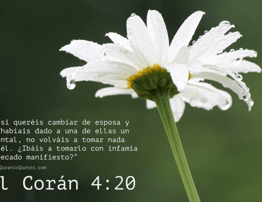 #178 El Corán 04:20 (Surah an-Nisa)