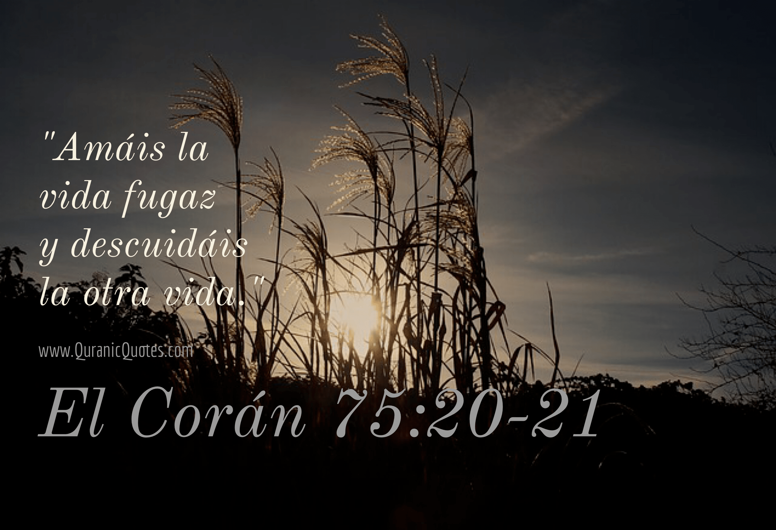 Quranic Quotes Español #168