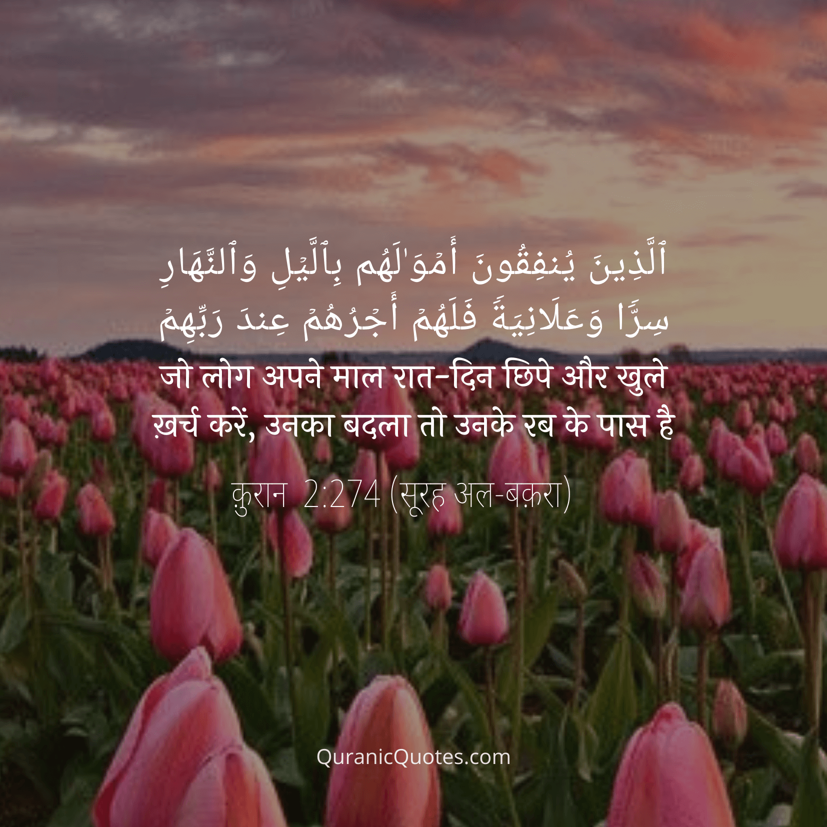 Quranic Quotes Hindi #68