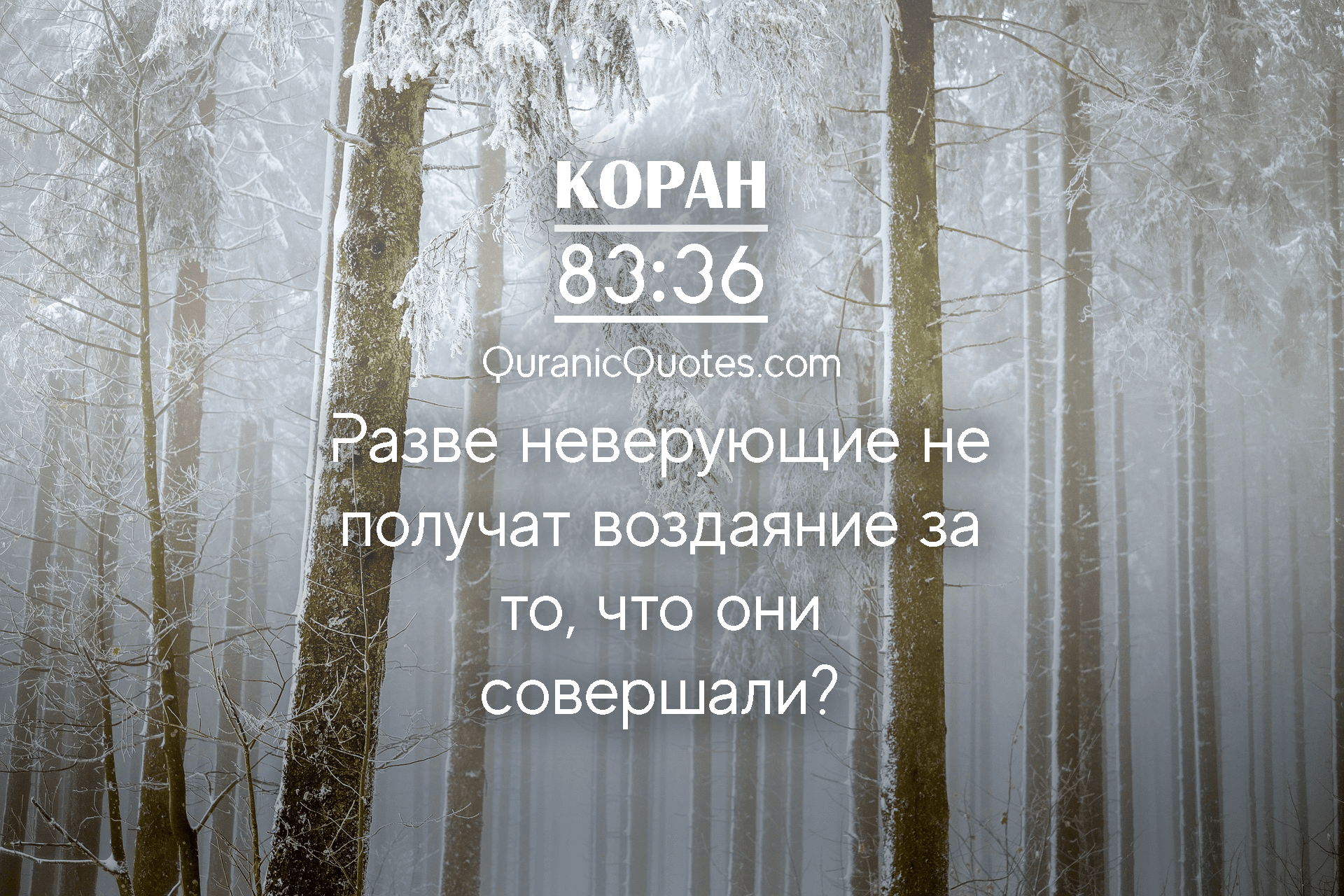 Quranic Quotes in Russian #48