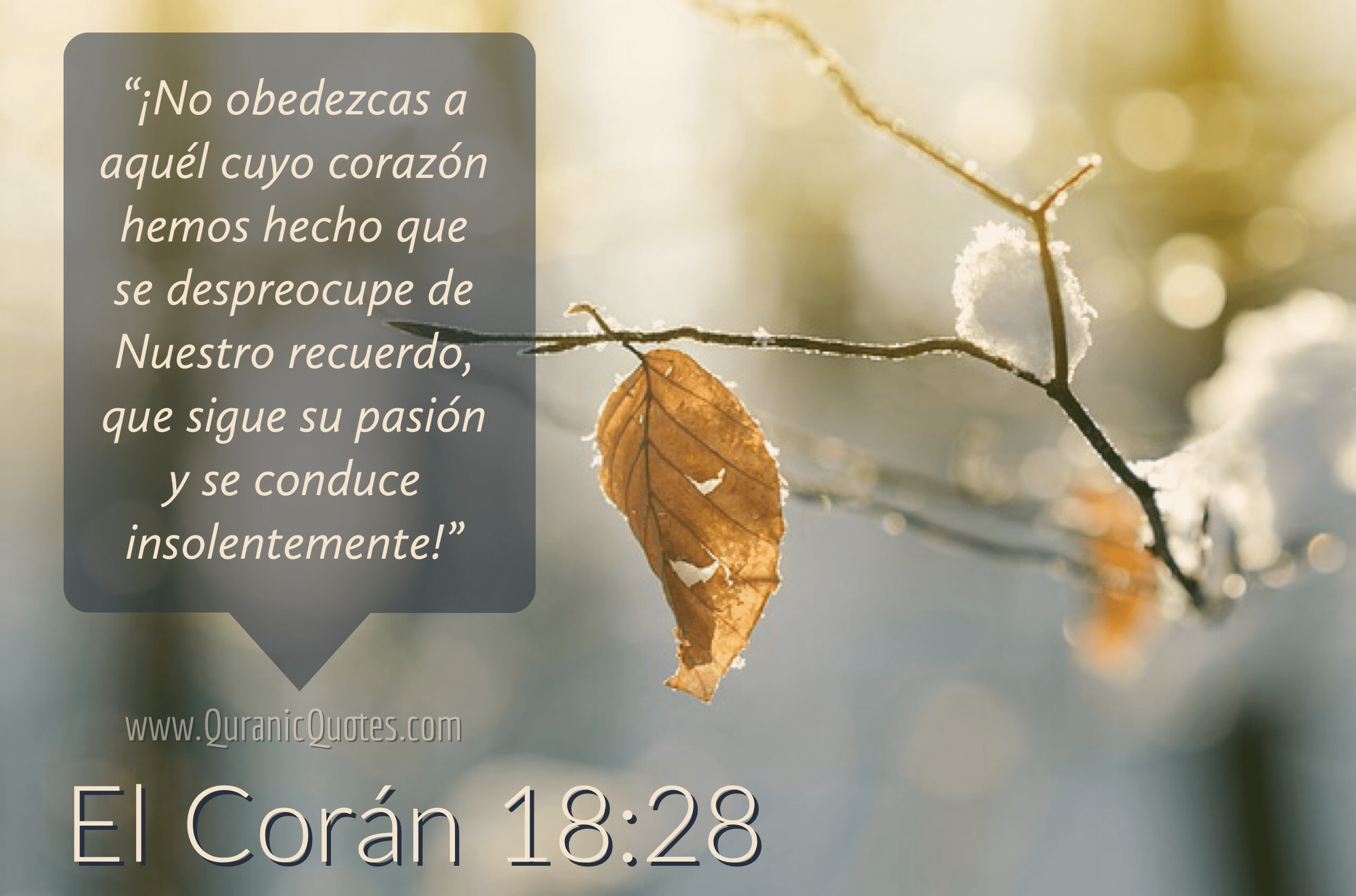 Quranic Quotes Español #214