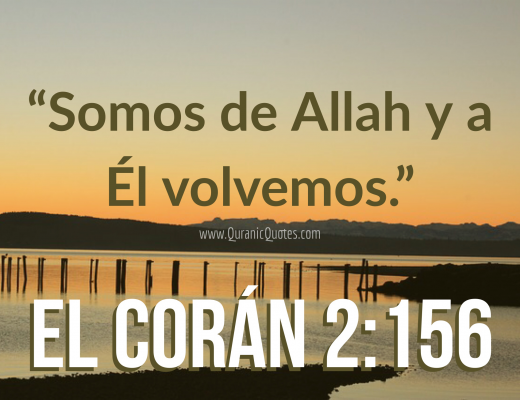 #205 El Corán 02:156 (Surah al-Baqarah)