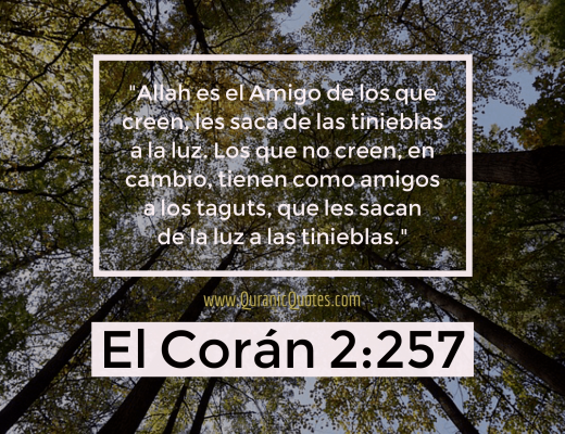 #223 El Corán 02:257 (Surah al-Baqarah)
