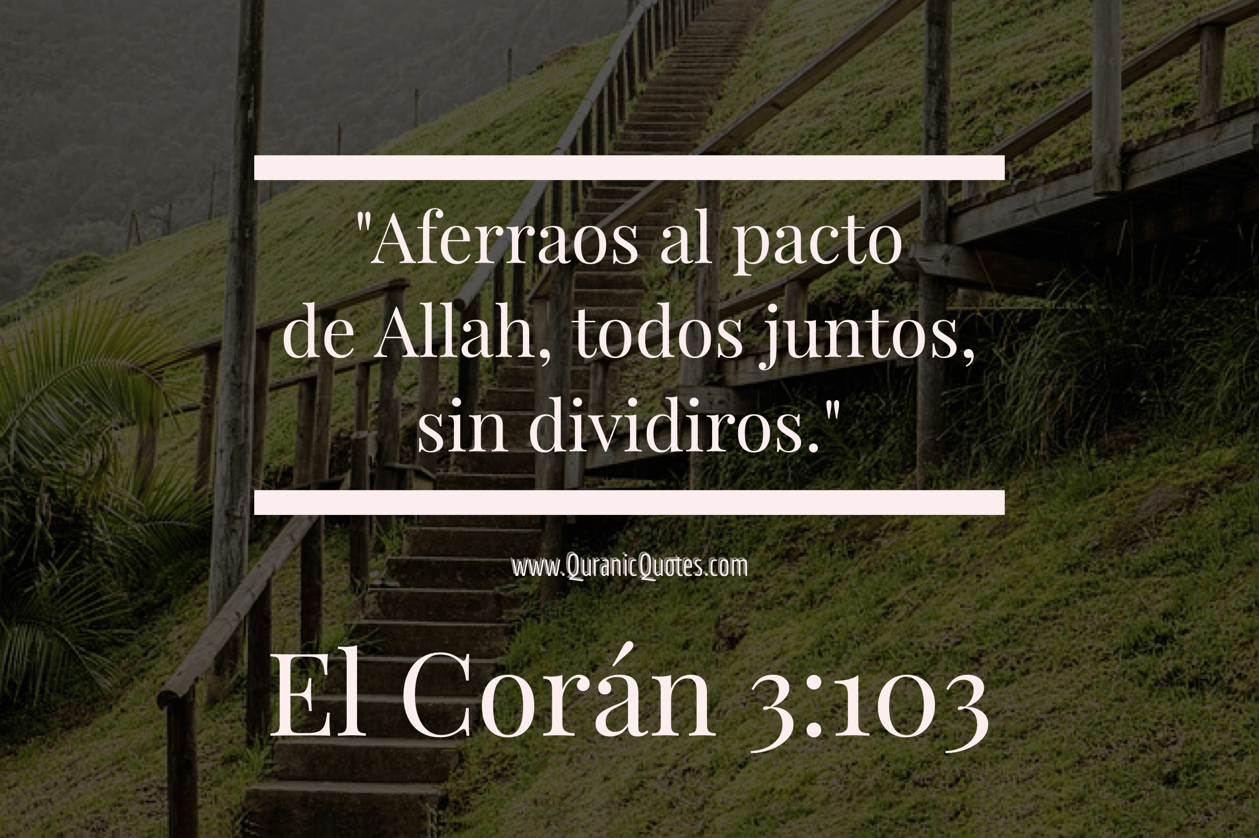 Quranic Quotes Español #220