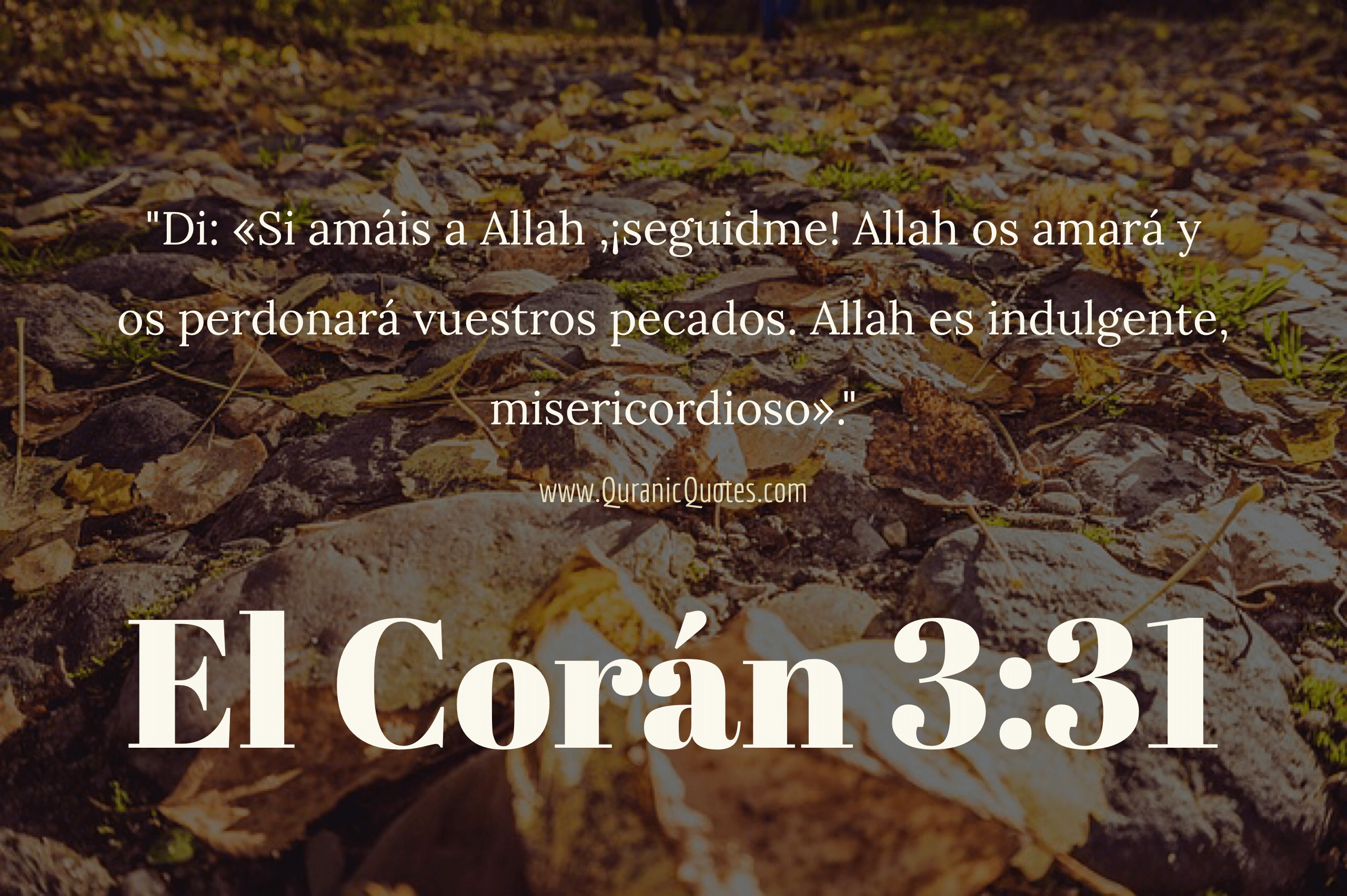 Quranic Quotes Español #224