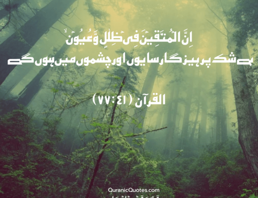 #141 The Quran 77:41 (Surah al-Mursalat)
