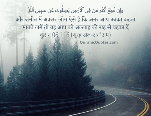 #87 The Quran 06:116 (Surah al-An’am)