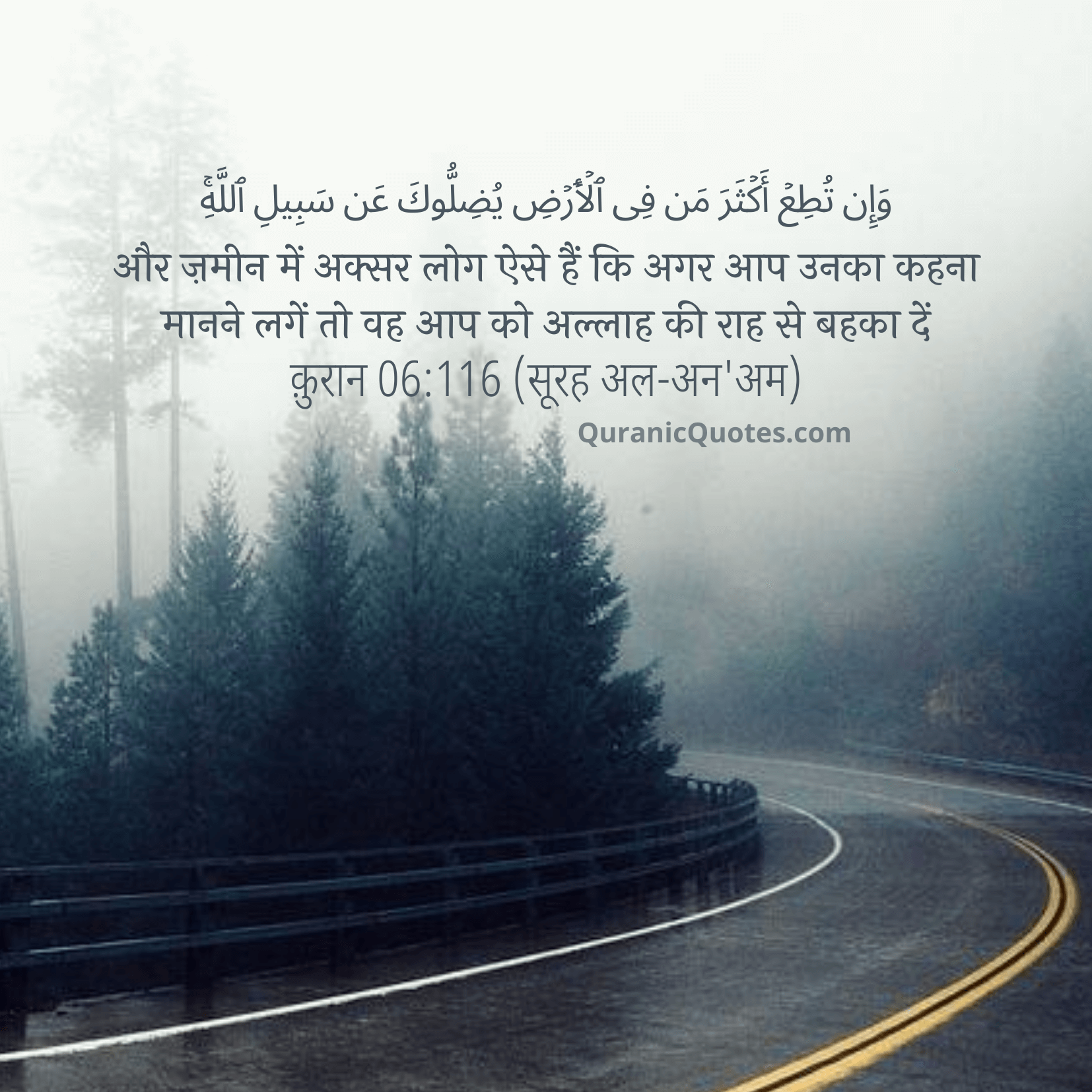 Quranic Quotes Hindi #87