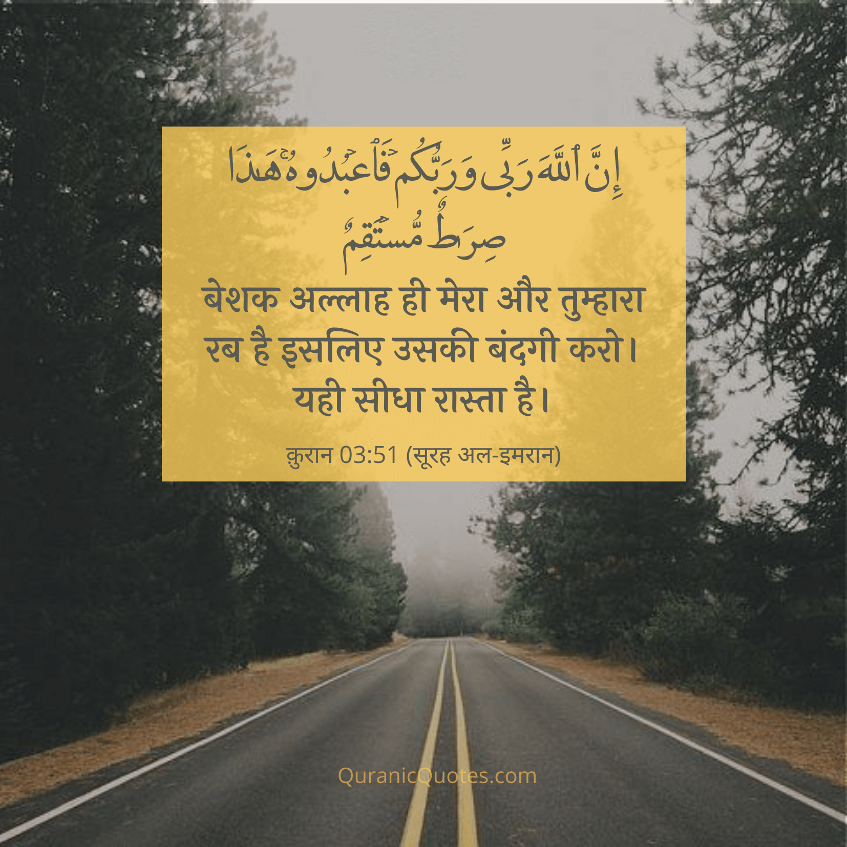 Quranic Quotes Hindi #91