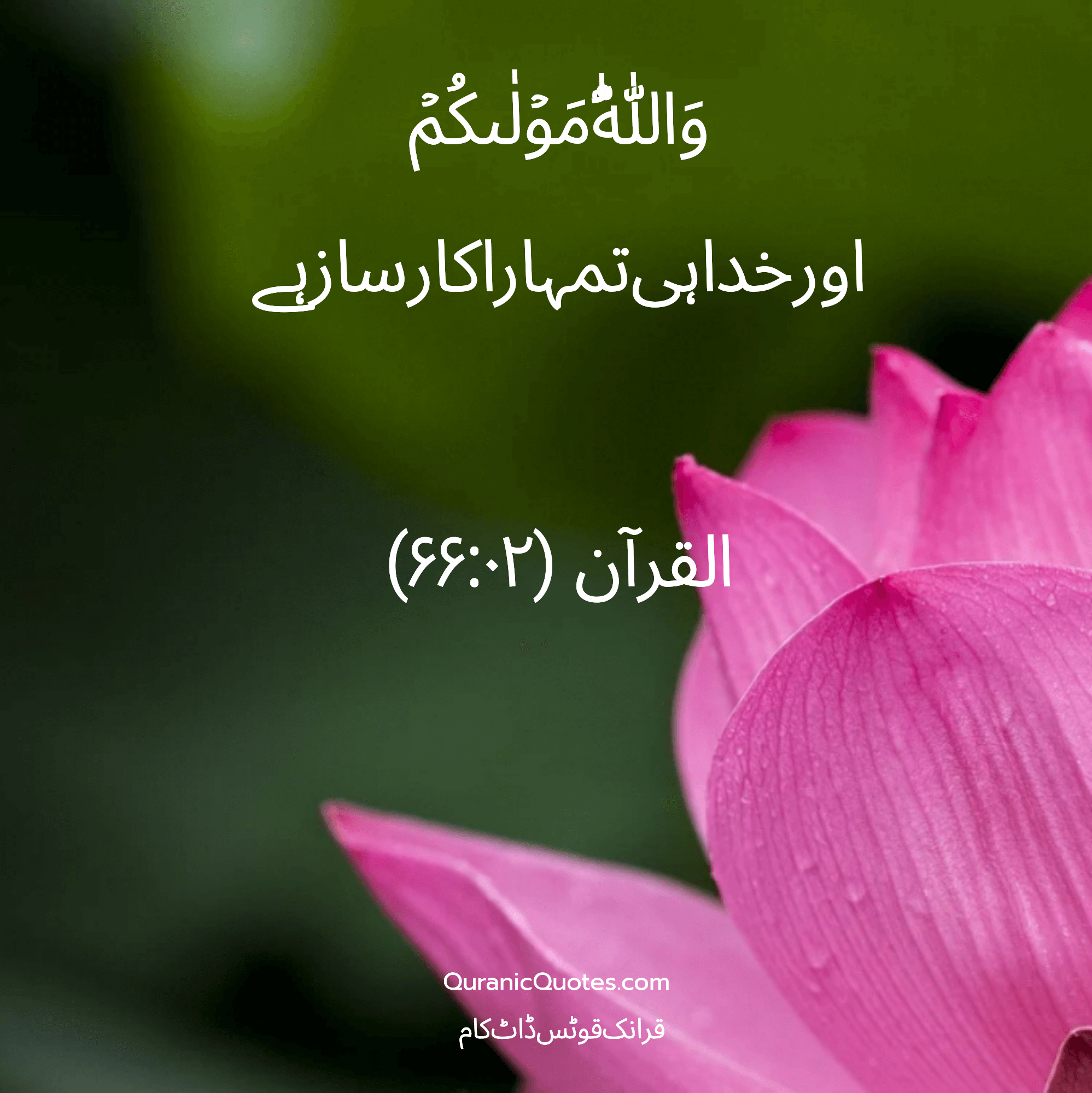 Quranic Quotes Urdu #161