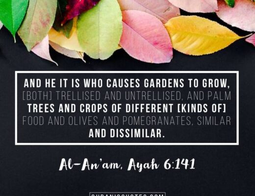 #306 The Quran 06:141 (Surah al-An’am)