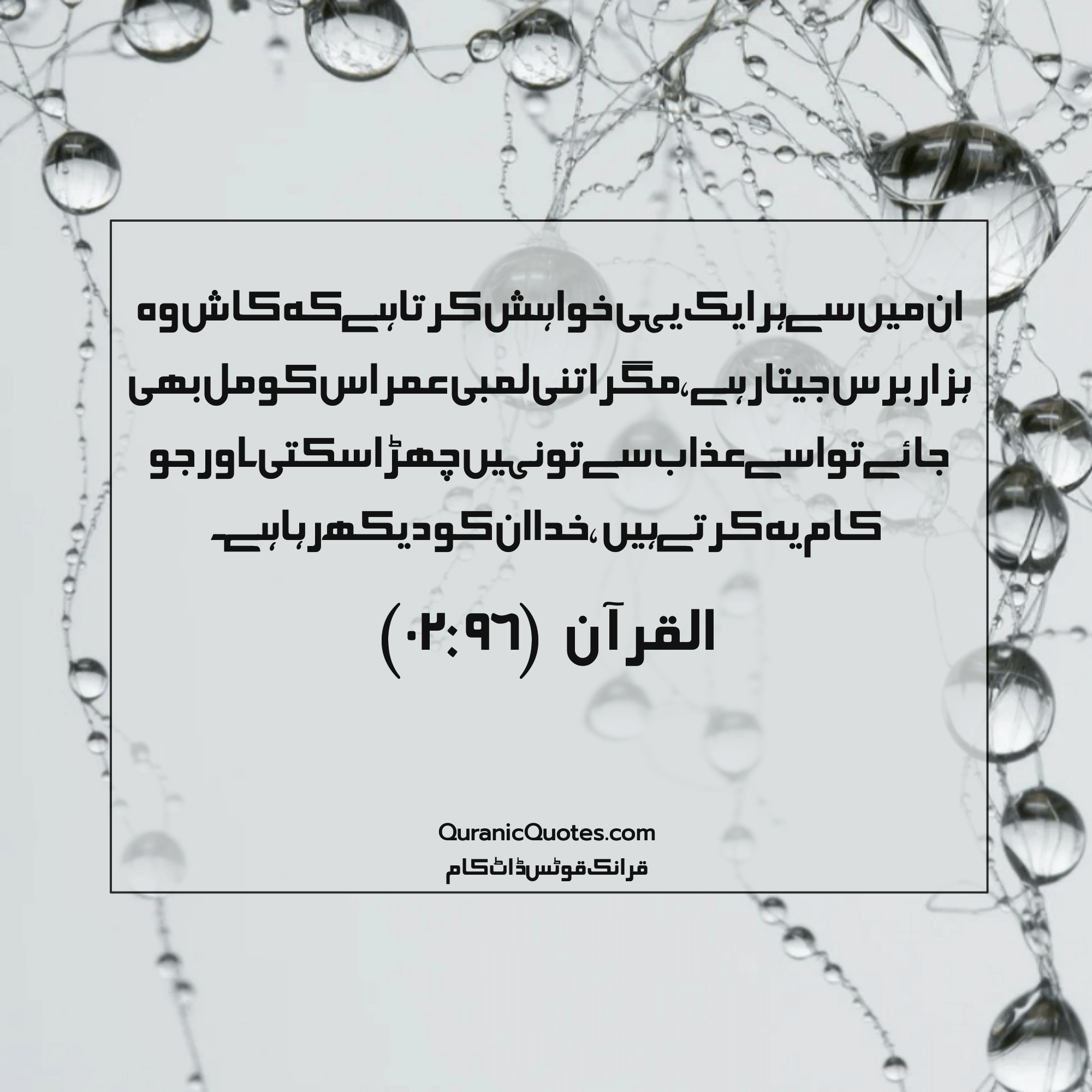 Quranic Quotes Urdu #177