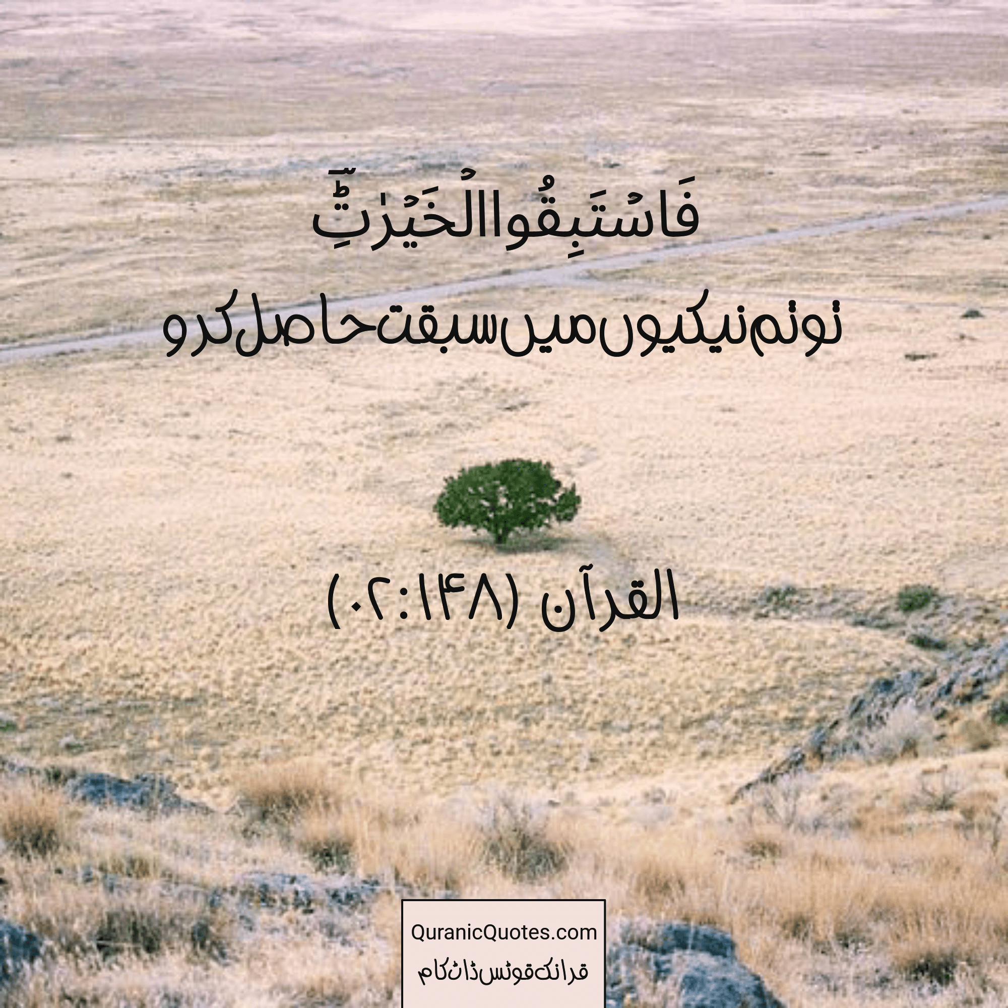 Quranic Quotes Urdu #204