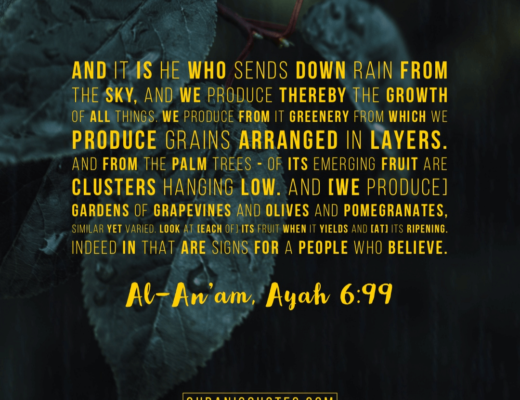 #318 The Quran 06:99 (Surah al-An’am)