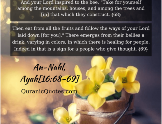 #315 The Quran 16:68-69 (Surah an-Nahl)