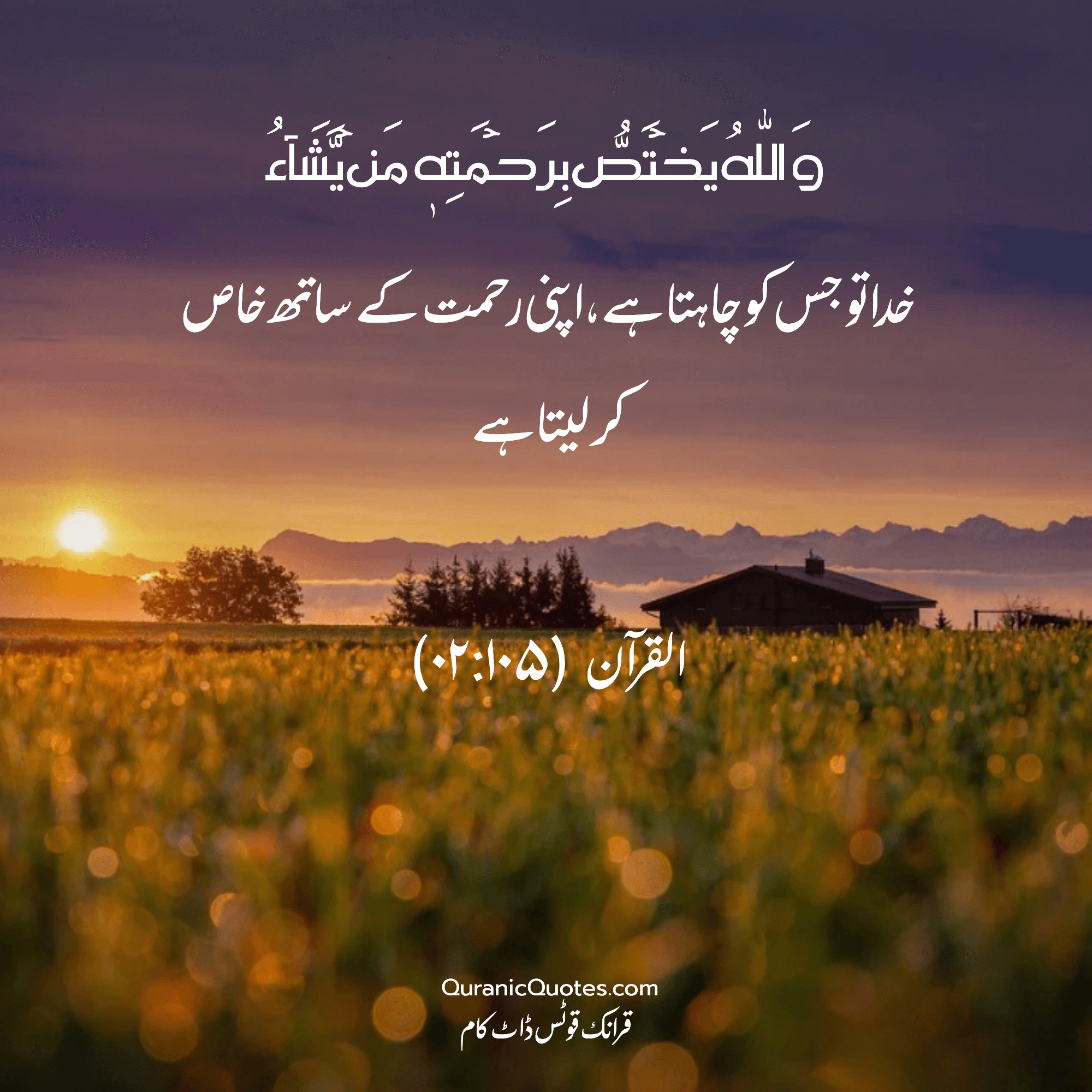 Quranic Quotes Urdu #181