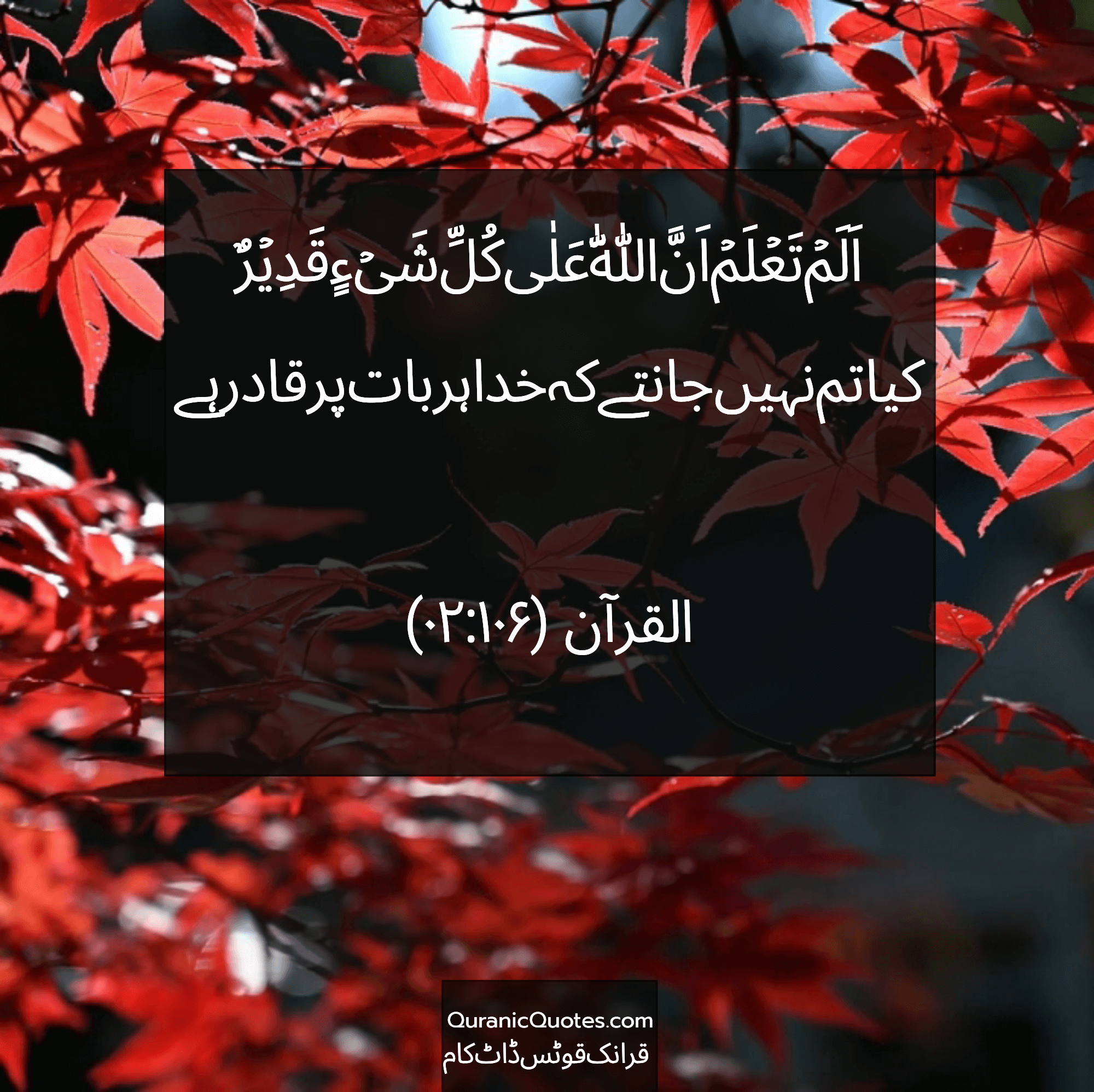 Quranic Quotes Urdu #182