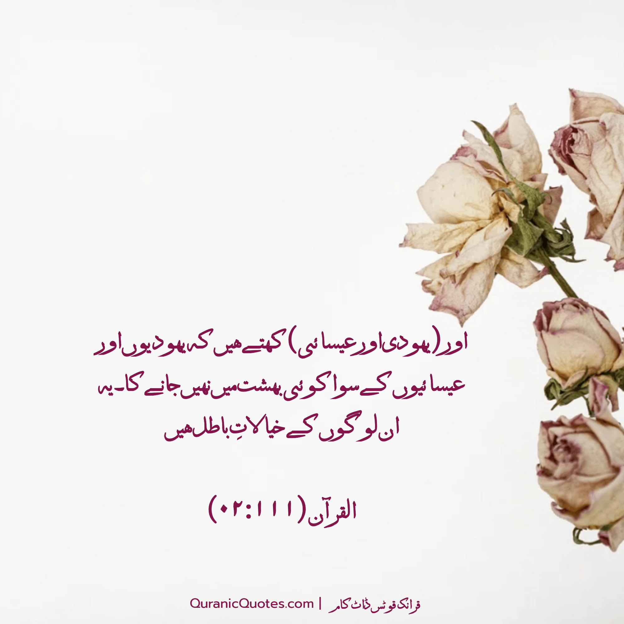 Quranic Quotes Urdu #187