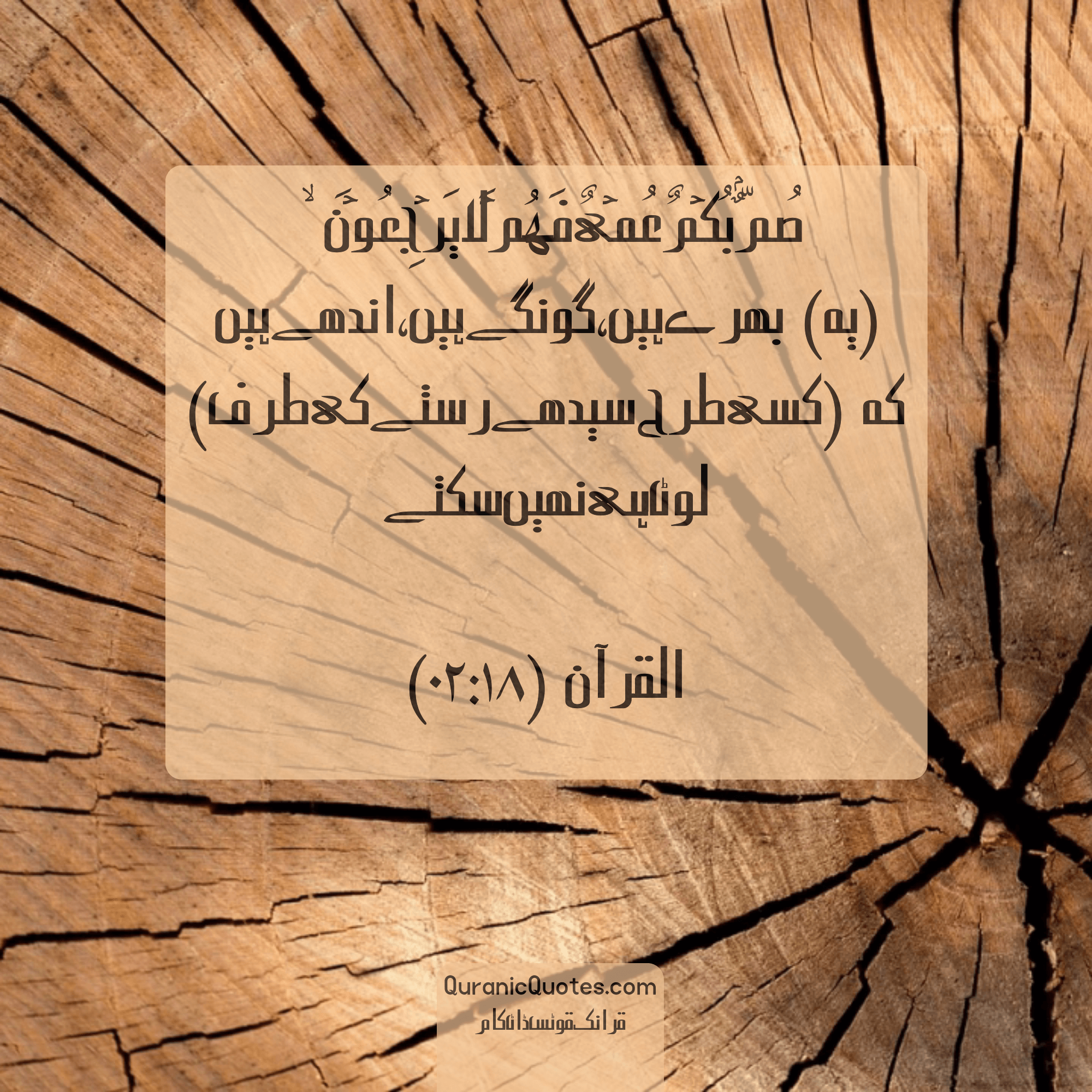 Quranic Quotes Urdu #166