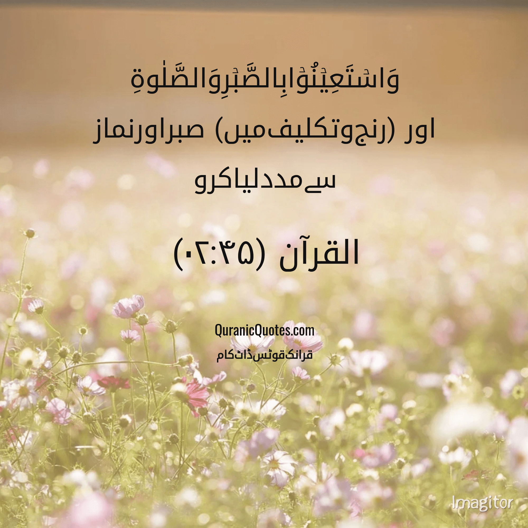 Quranic Quotes Urdu #170