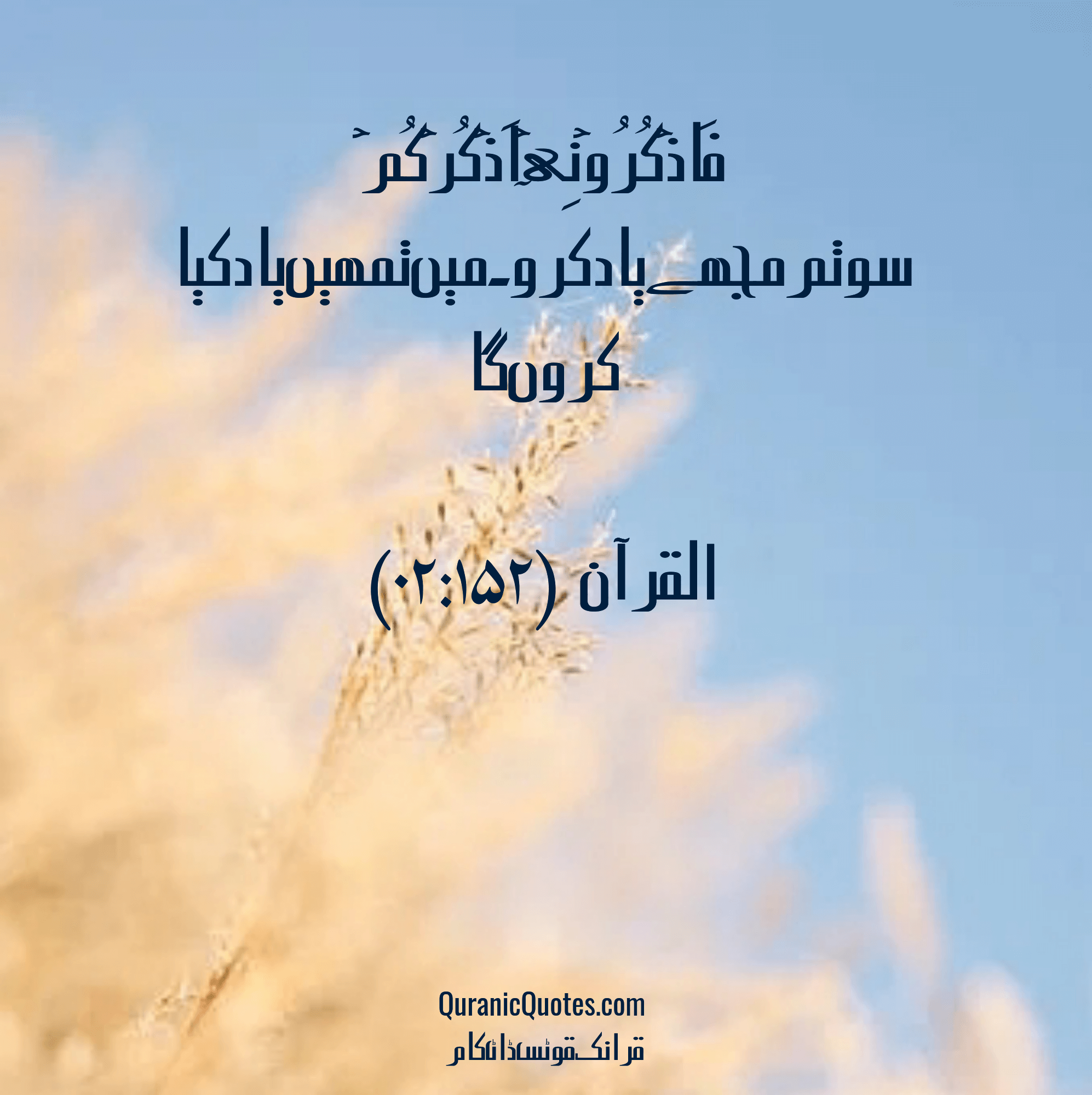 Quranic Quotes Urdu #206