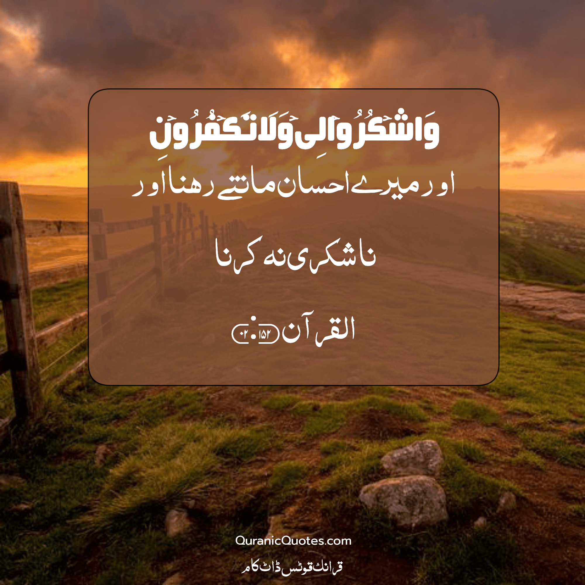 Quranic Quotes Urdu #205
