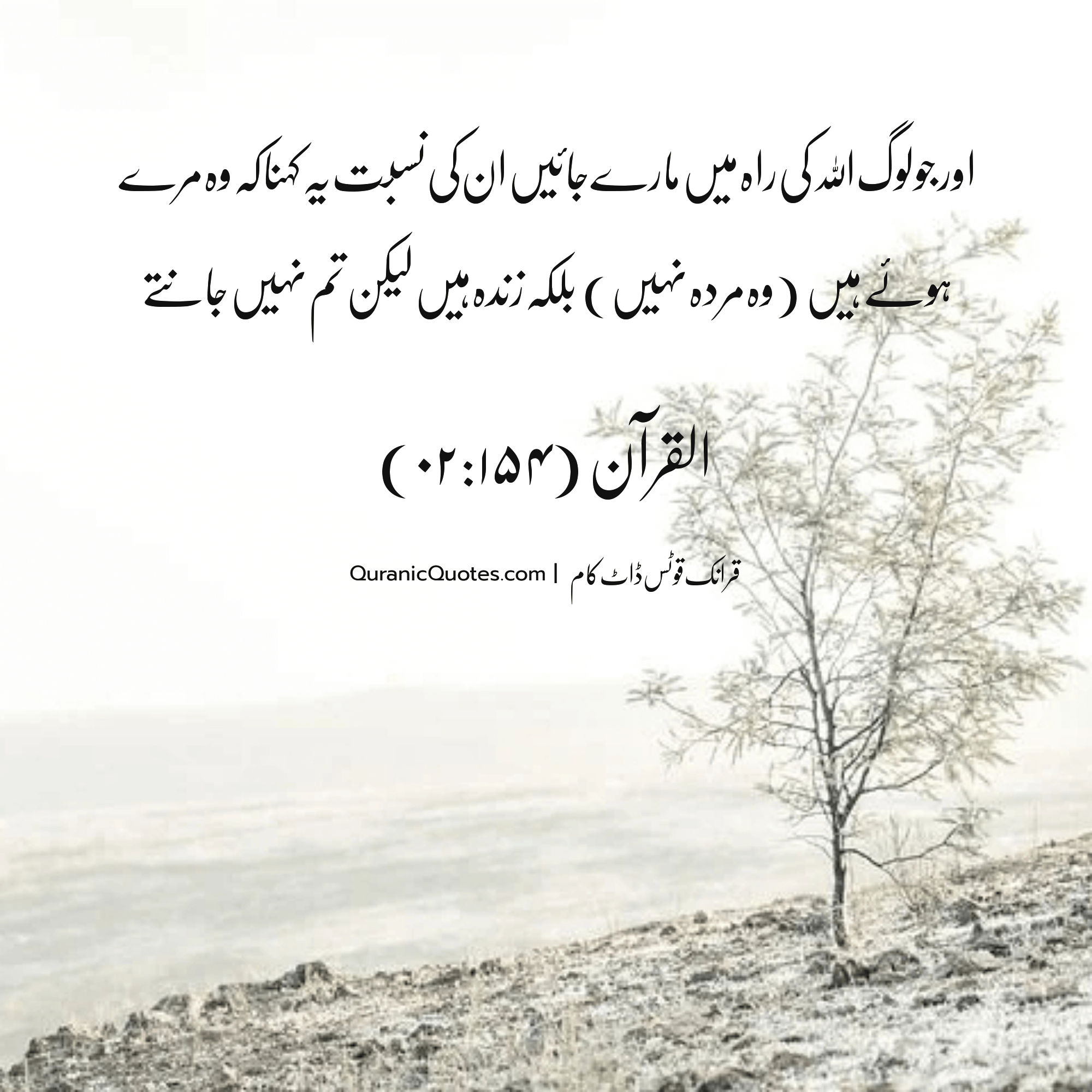Quranic Quotes Urdu #207