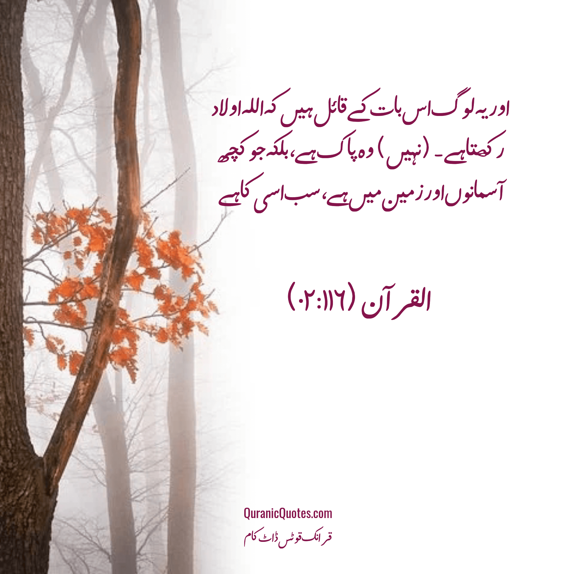 Quranic Quotes Urdu #192