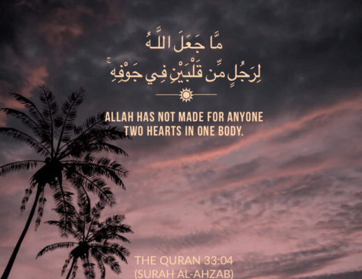 #333 The Quran 33:04 (Surah al-Ahzab)