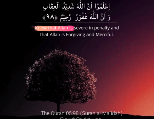 #344 The Quran 05:98 (Surah al-Ma’idah)