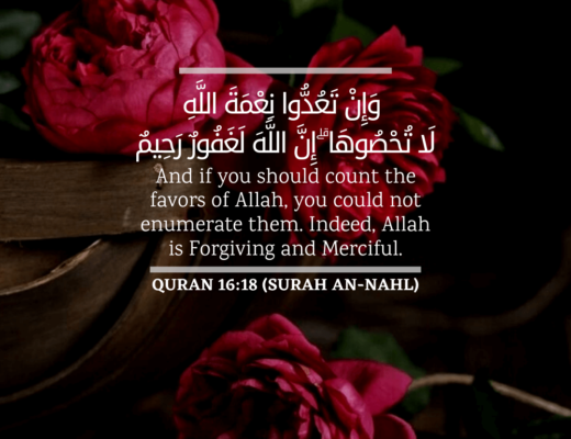 #346 The Quran 16:18 (Surah an-Nahl)