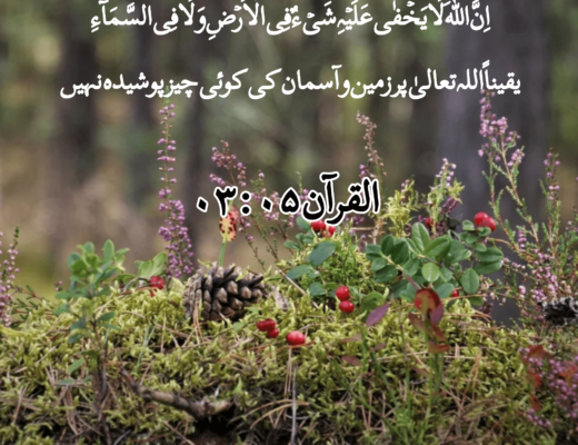#215 The Quran 03:05 – (Surah al-Imran)