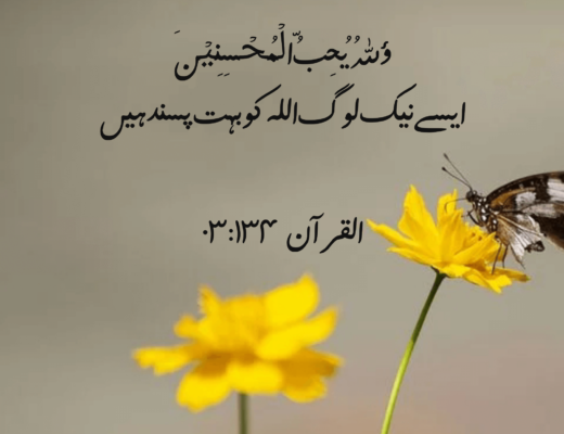 #217 The Quran 03:134 – (Surah al-Imran)