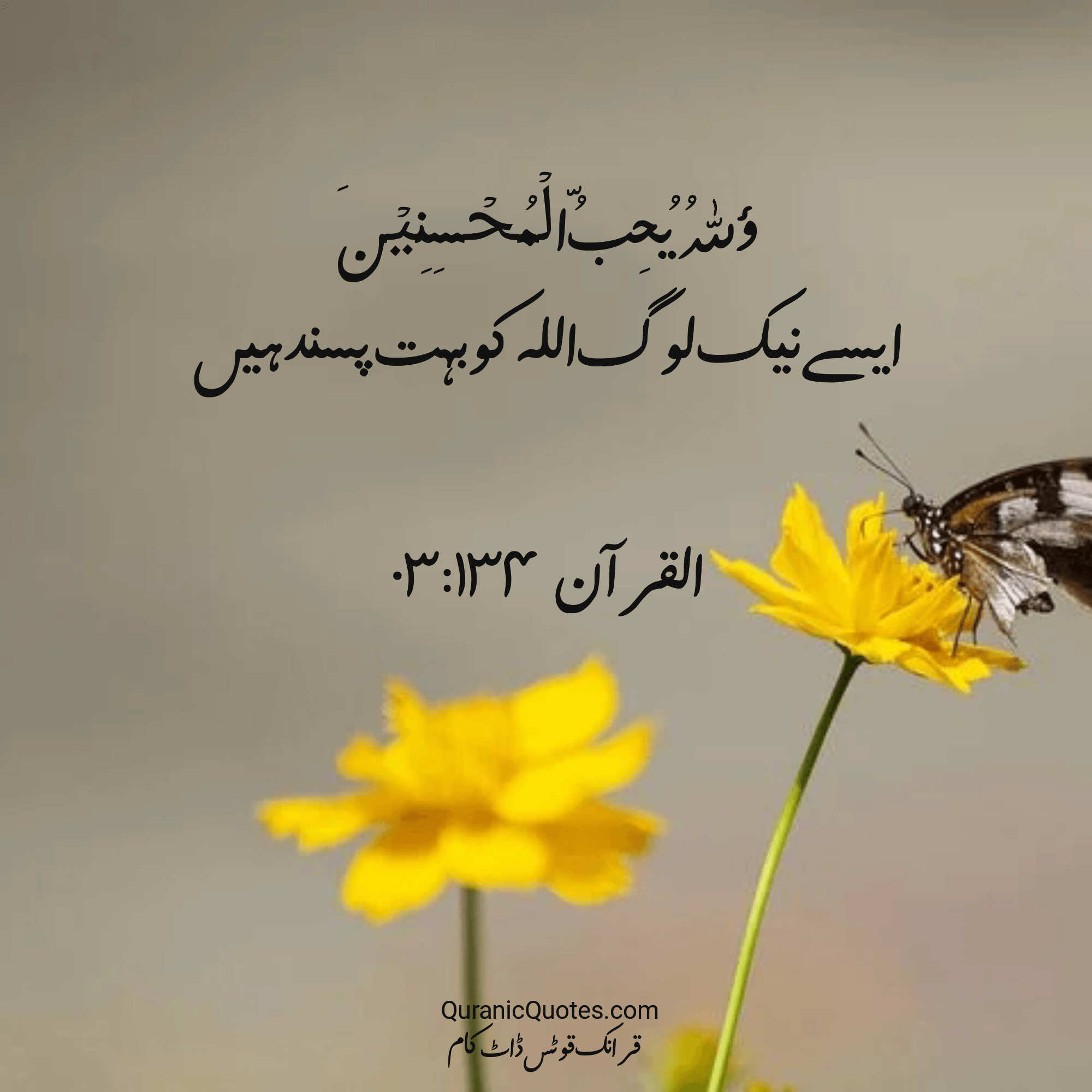 Quranic Quotes Urdu #217