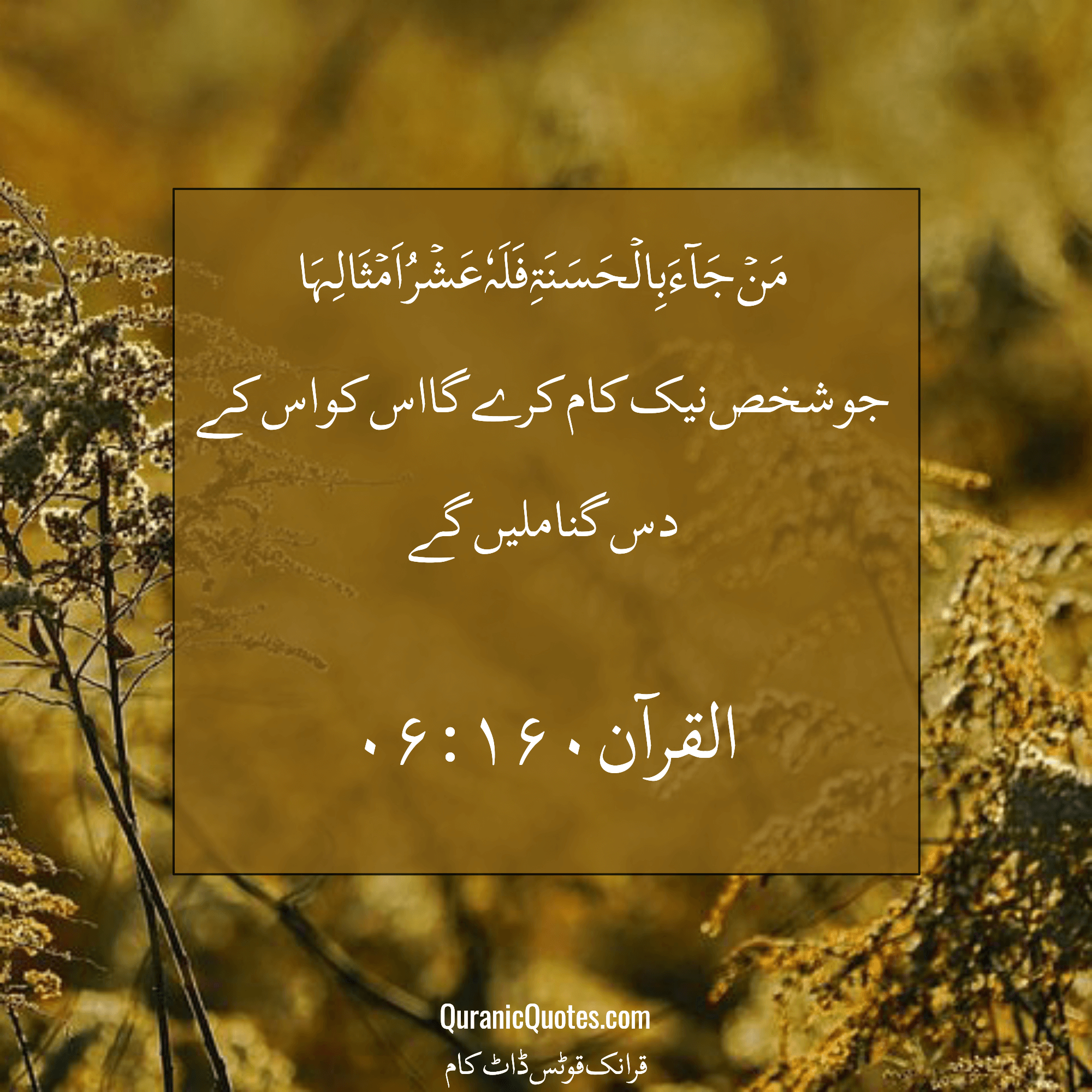 Quranic Quotes Urdu #219