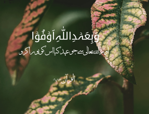 #221 The Quran 06:152 – (Surah al-An’am)