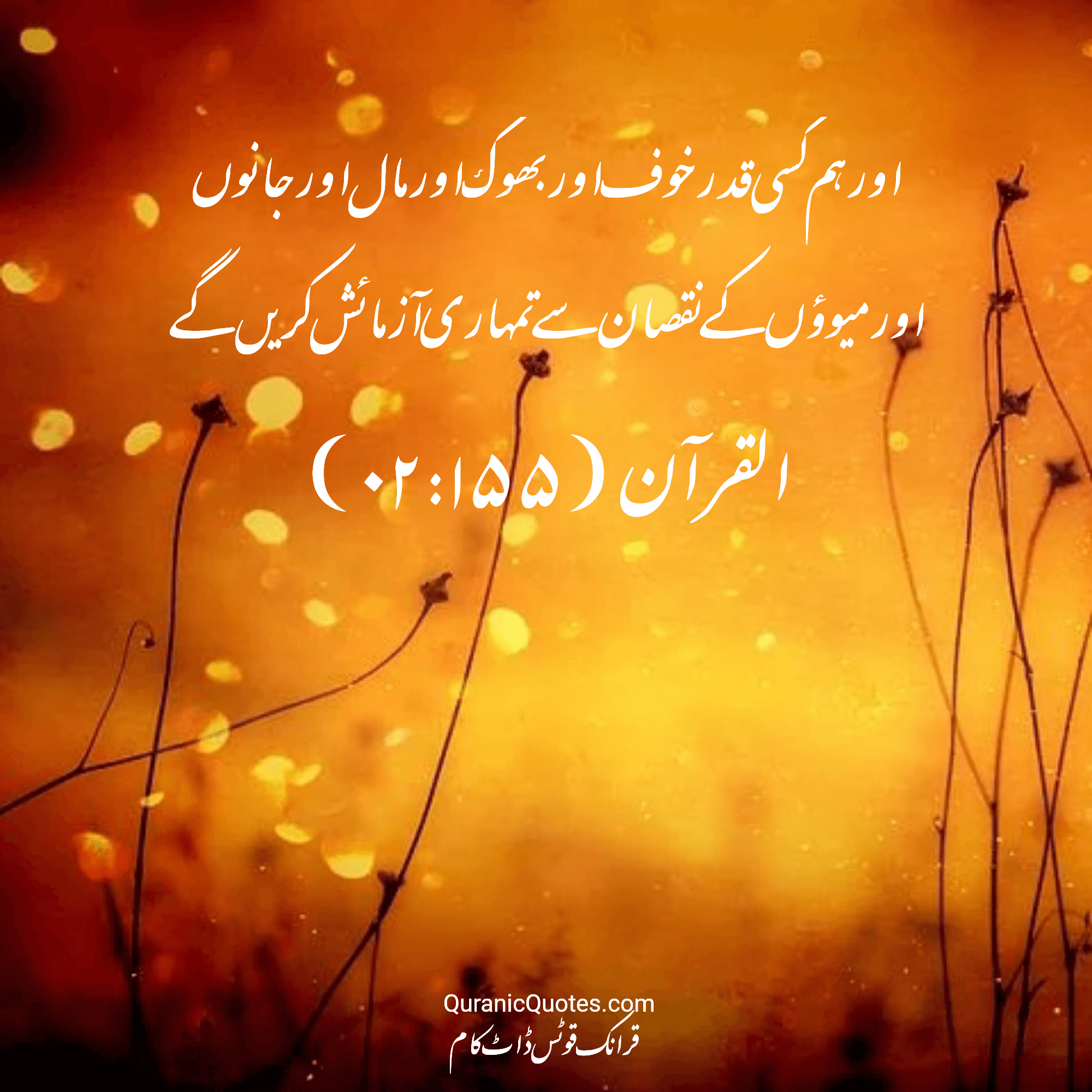 Quranic Quotes Urdu #208