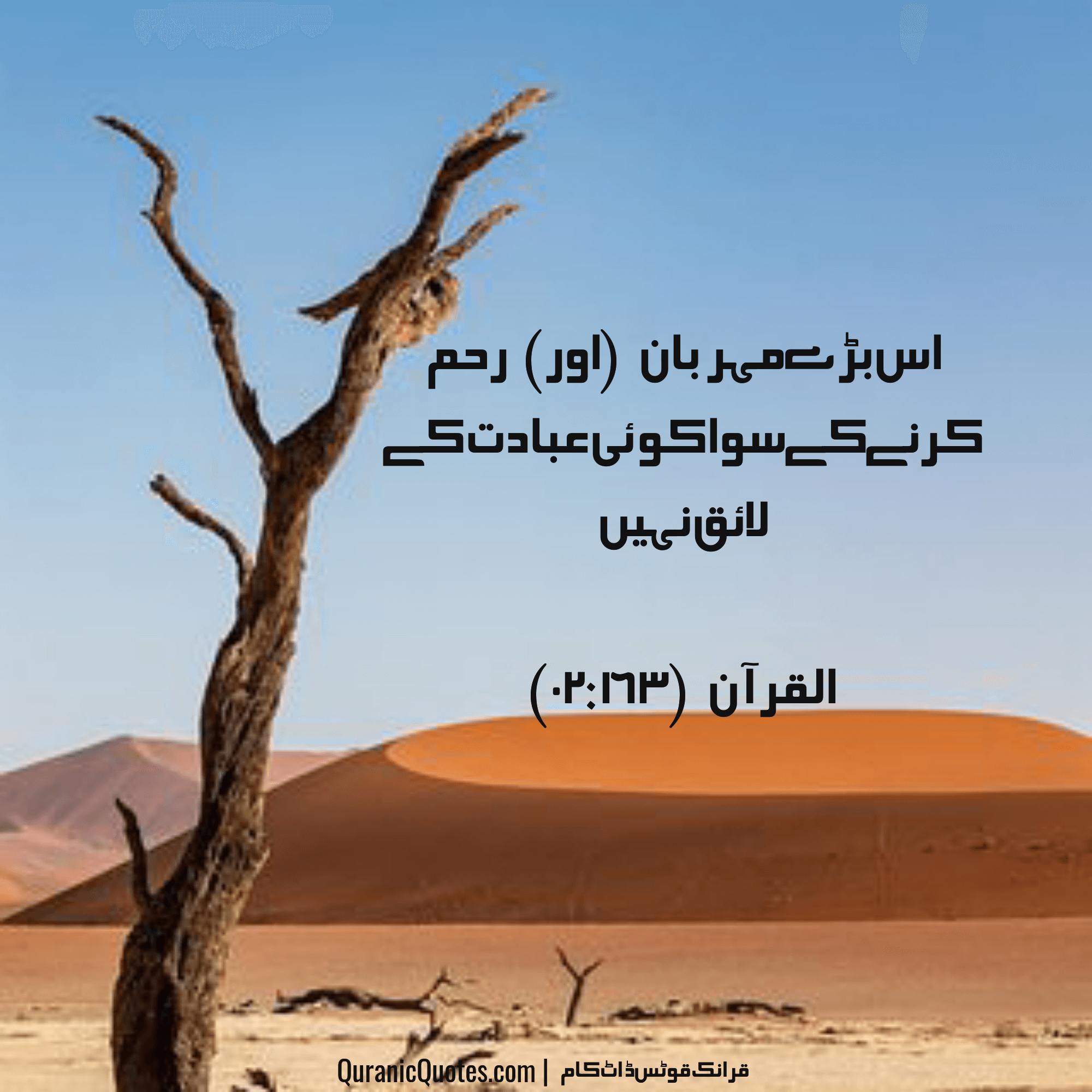 Quranic Quotes Urdu #213