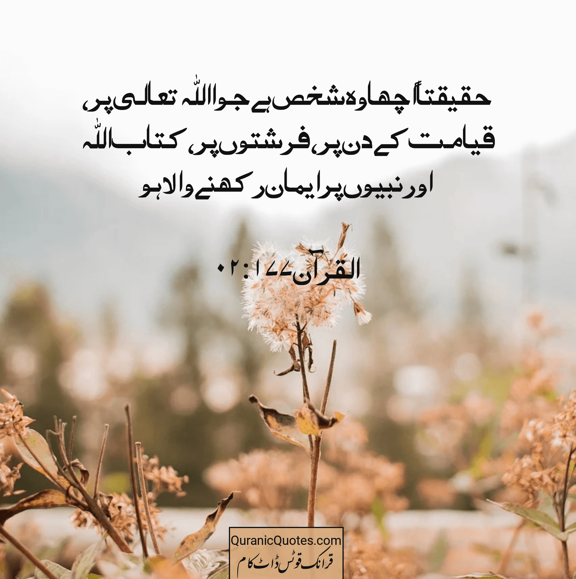 Quranic Quotes Urdu #223