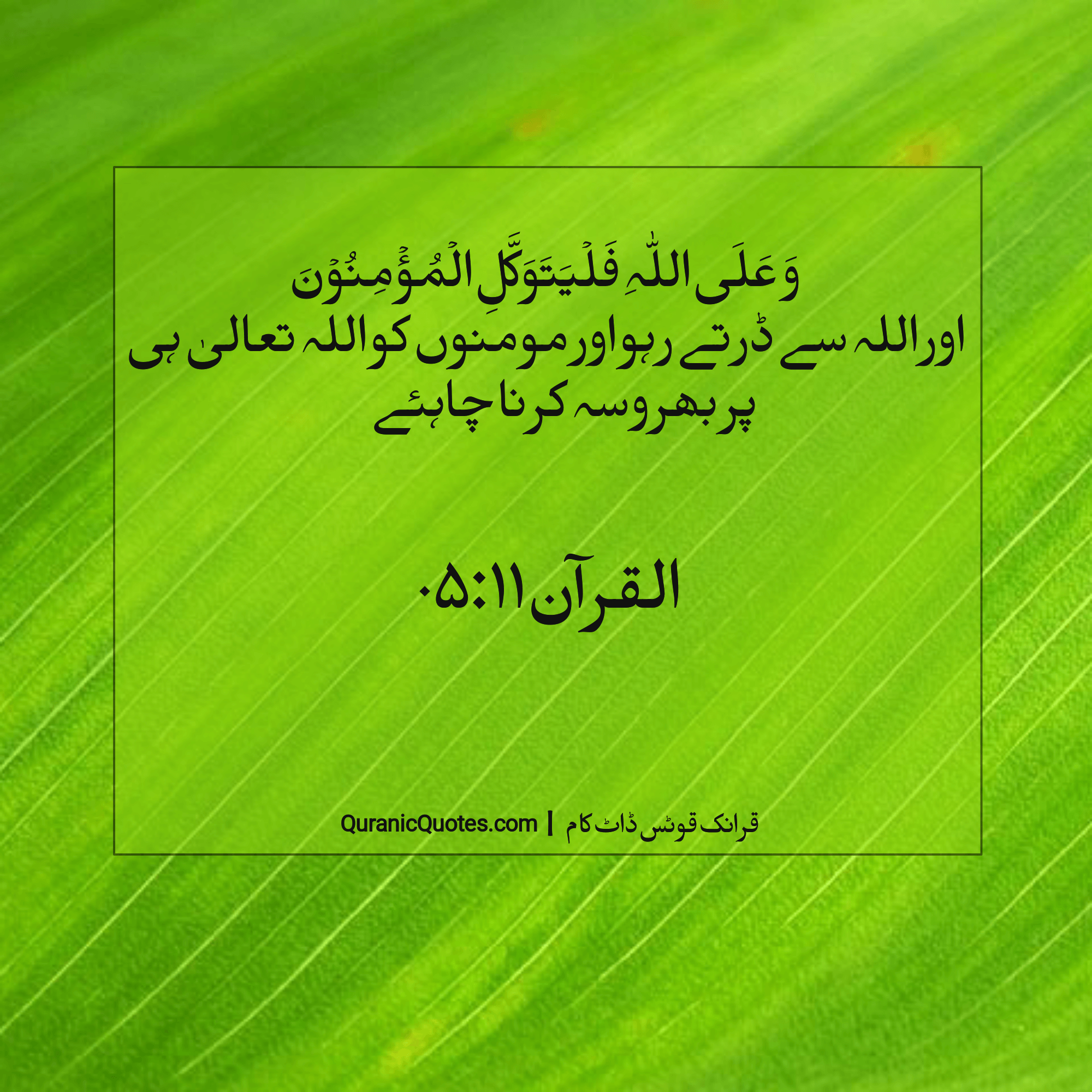 Quranic Quotes Urdu #228