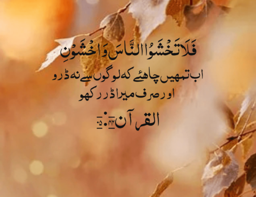 #229 The Quran 05:44 – (Surah al-Ma’idah)