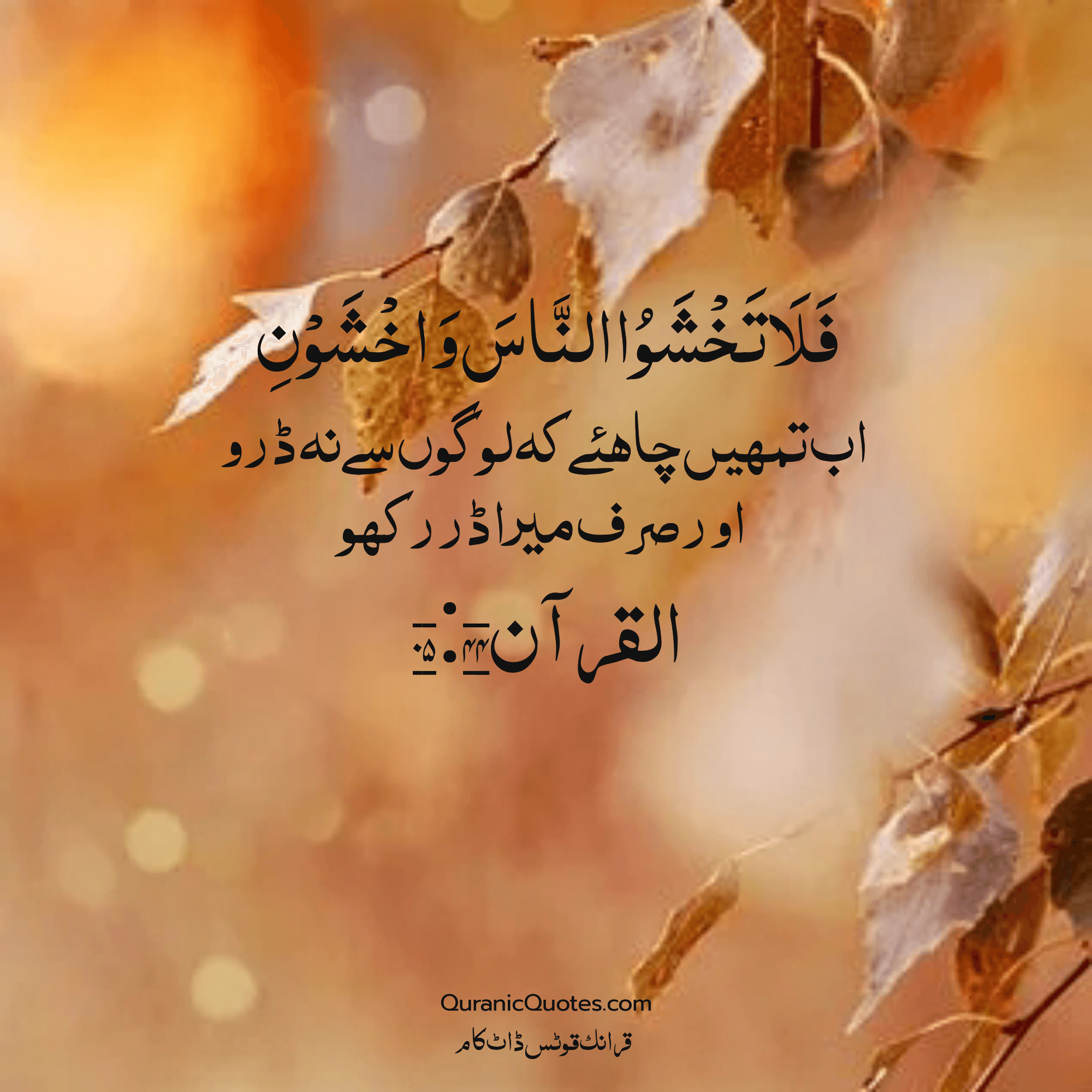 Quranic Quotes Urdu #229